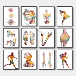 Abstract Human Body Organ Eye Rib Cage Knee Bone Muscle Poster Canvas Painting Wall Pictures for Medicine Living Room Home Decor