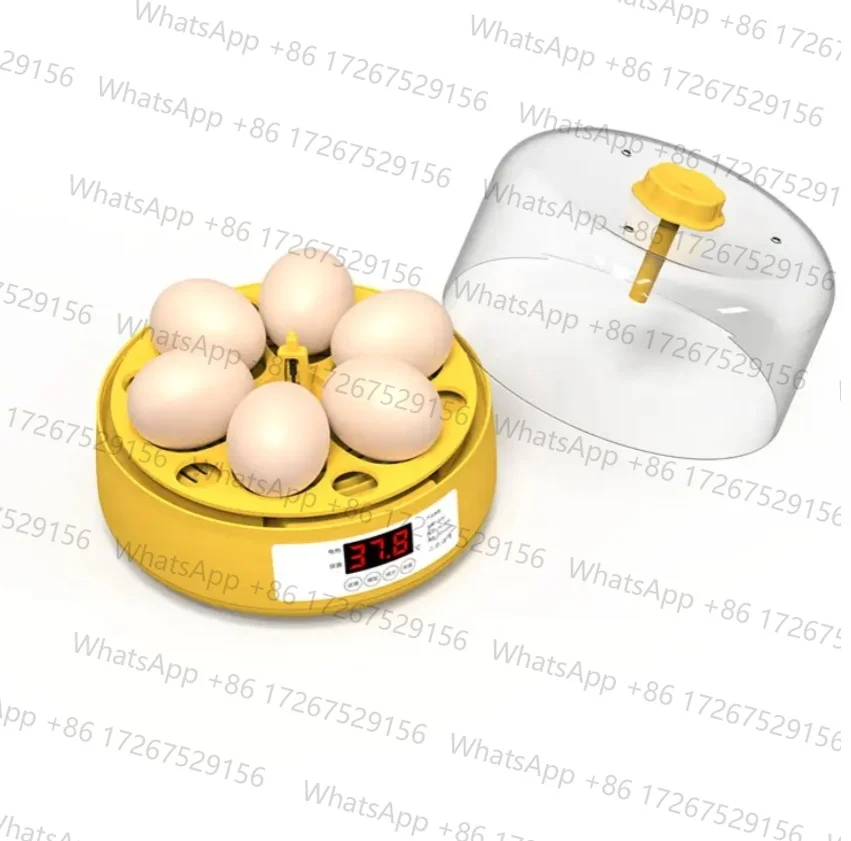 Hot Sale Dual Power Full Automatic Mini Incubator for Home Use 4/6/18 Chicken Egg Incubator