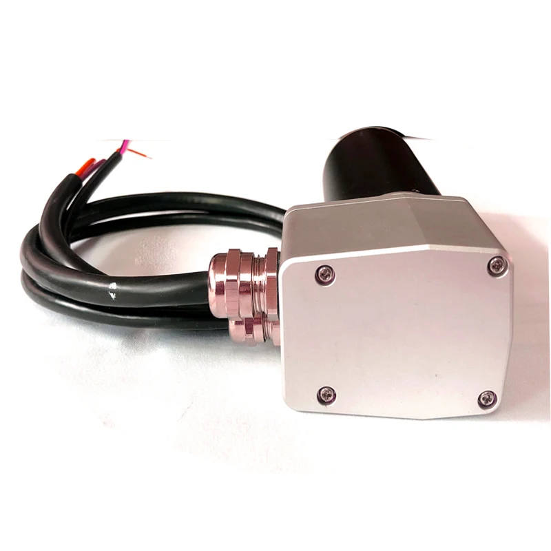 

HotFaradyi High Torque Bldc Brushless Dc Motor Customized 12v 24v 36v for 14 Inch Coreless Motor Heat Gun Customizable IE 2 D63