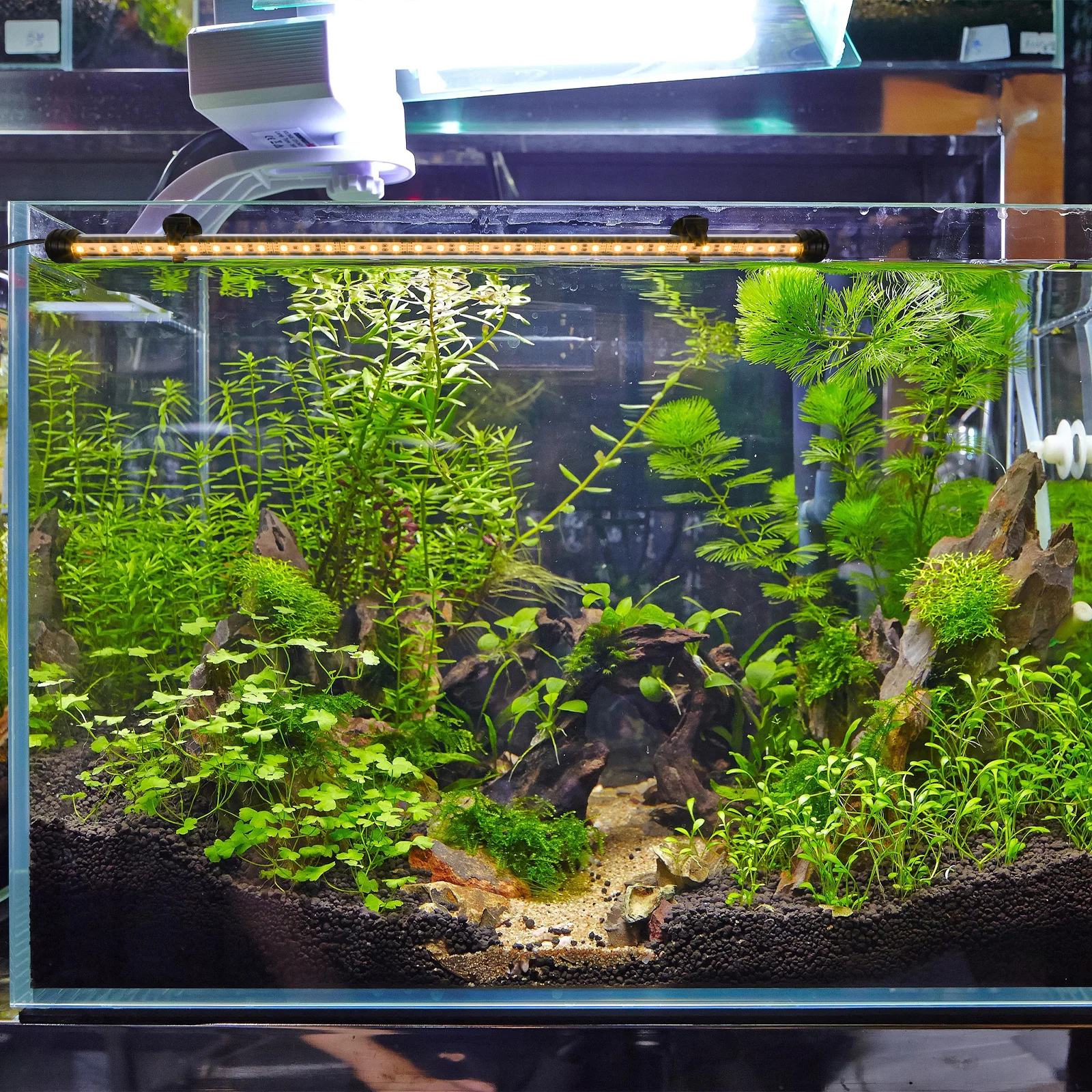 

Aquarium LED Light Premium Acrylic Fish Tank Lamp Suction Cup Waterproof Submersible Landscaping Lighting Device Eu Plug