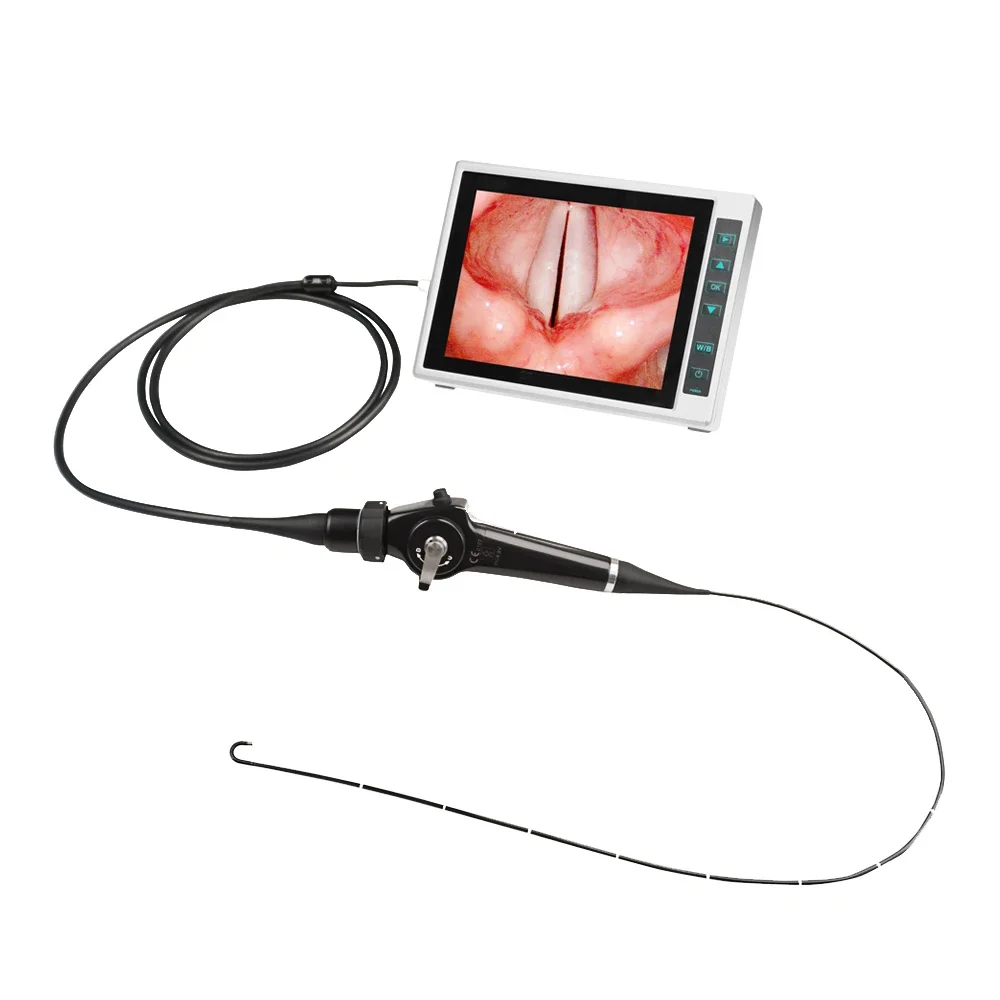 LTEV20F 3/8/10 Inches Monitors Camera Video Laryngoscope Digital Endoscope Usb Fiber Flexible Video Laryngoscope Intubation