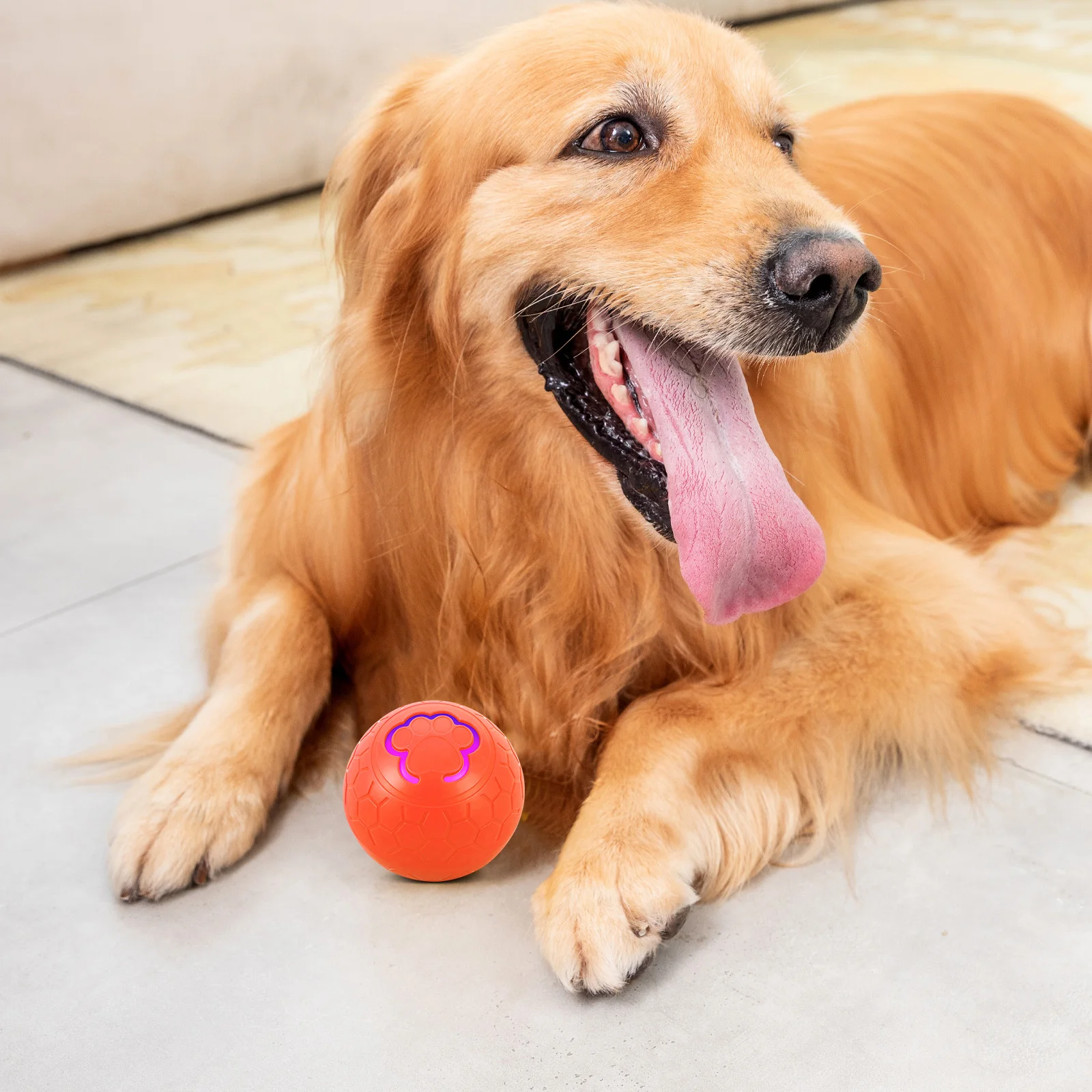 

Interactive Bouncing Dog Ball Smart Electric Automatic Jumping Rolling Moving Chase Pet Ball for Medium Large Dogs Rechargeable