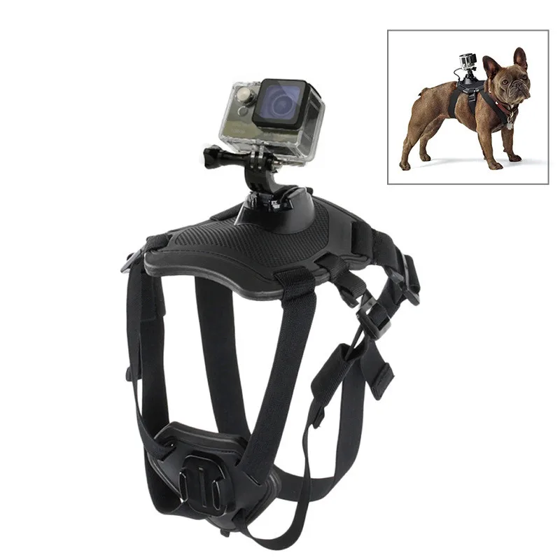 Hound Dog Fetch Harness Adjustable Chest Strap Mount for GoPro  DJI Osmo Action, Xiaoyi and Other Action Cameras