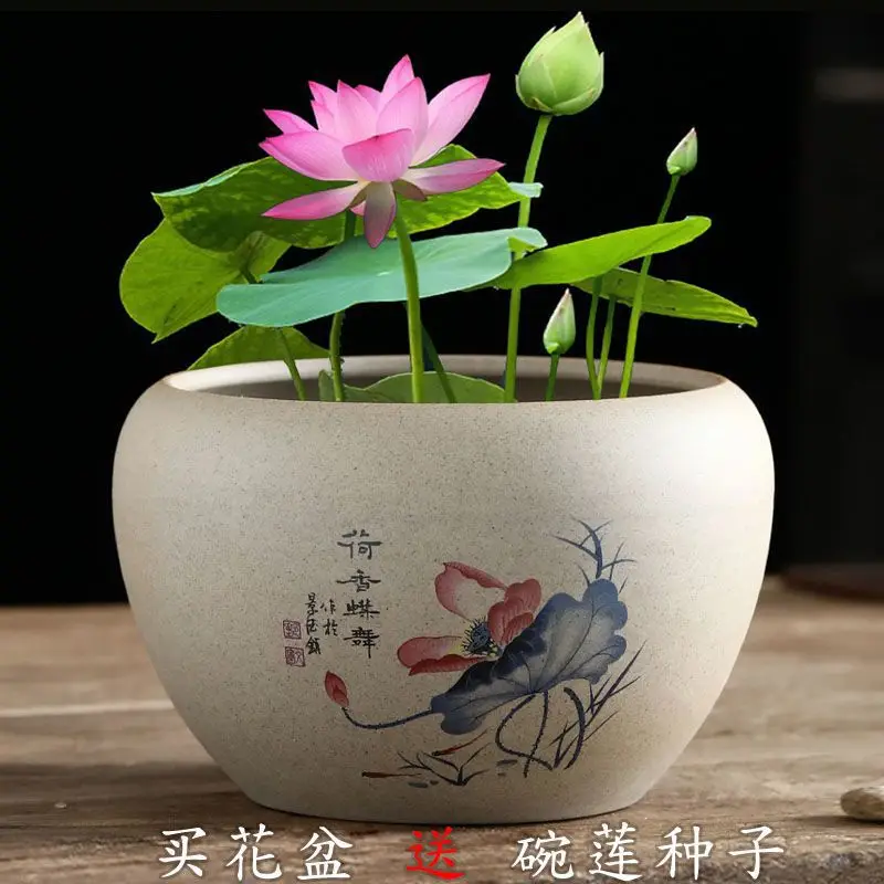 

Горшок в виде лотоса Грубая керамика, водяная лилия, медная монета, трава, чаша, гидропонный цветочный горшок в виде лотоса, керамический лотос для дома, большой фиолетовый песок, ва