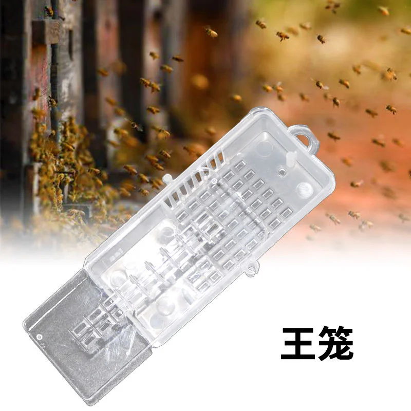 

5PCS Beekeeping Transport Cages Bee Transparent Queen Cages Queen House Beehive Insect Equipment for Garden Apiculture Tools