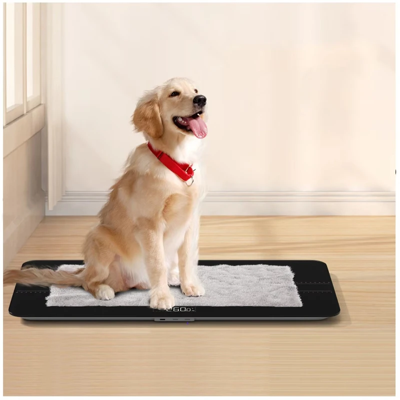 High strain gauge sensor 100kg ABS electronic digital pet weighing scale cat and dog digital pet scale