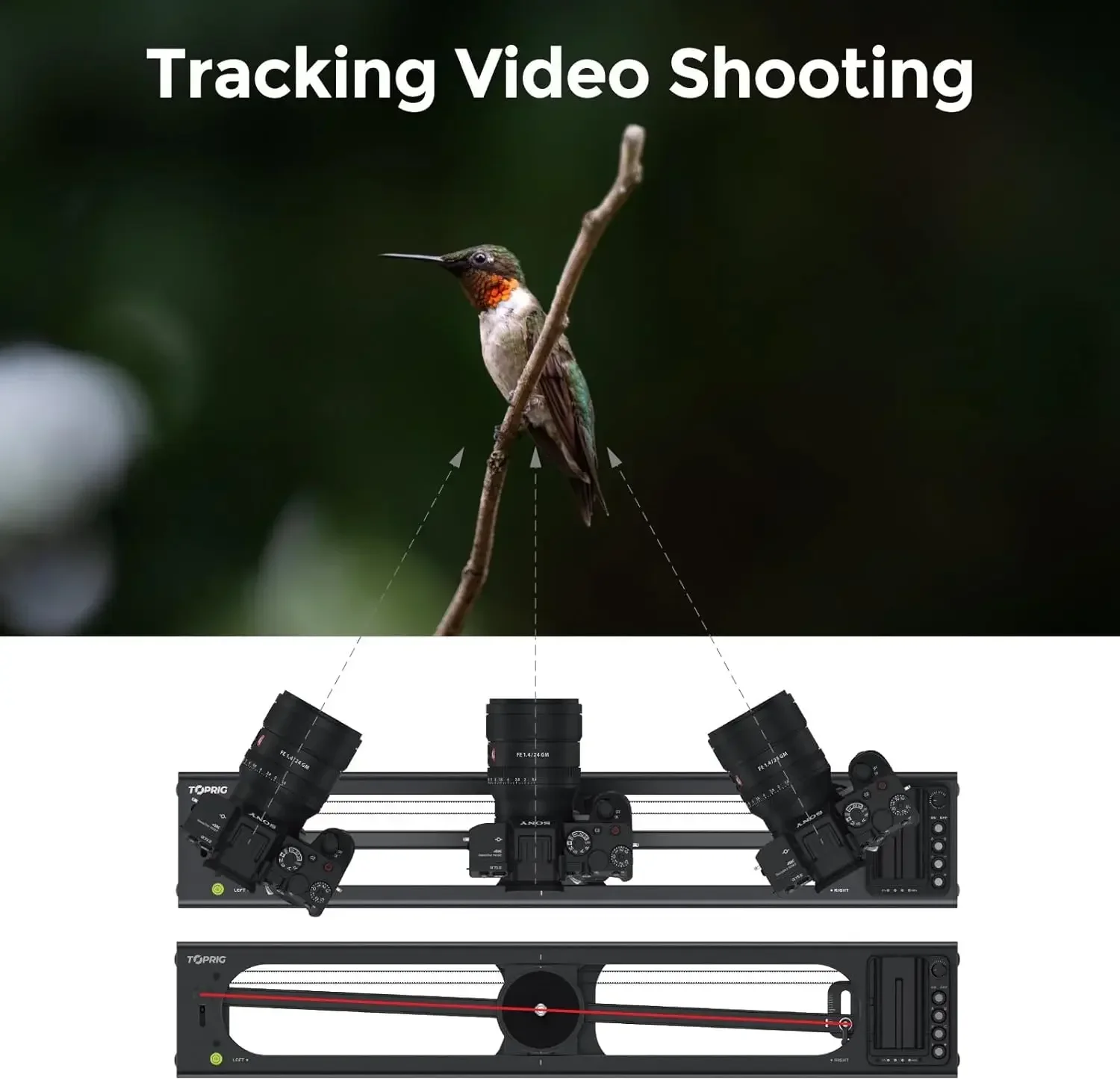 Best Toprig Accsoon Camera Video Slider S40 Adjustable 24 Inch/60cm Electric Full Button Control Slider S40 AA-S01