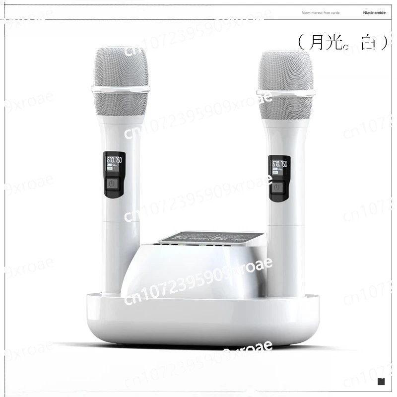 

Wireless microphone for one to two KTV
