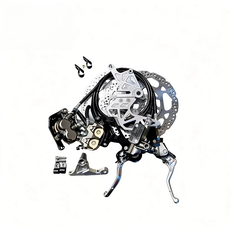 Rear Brake Assemblies + Mounts + 240mm Rear Disc Kit for Light Bee  Off-road Motorcycle