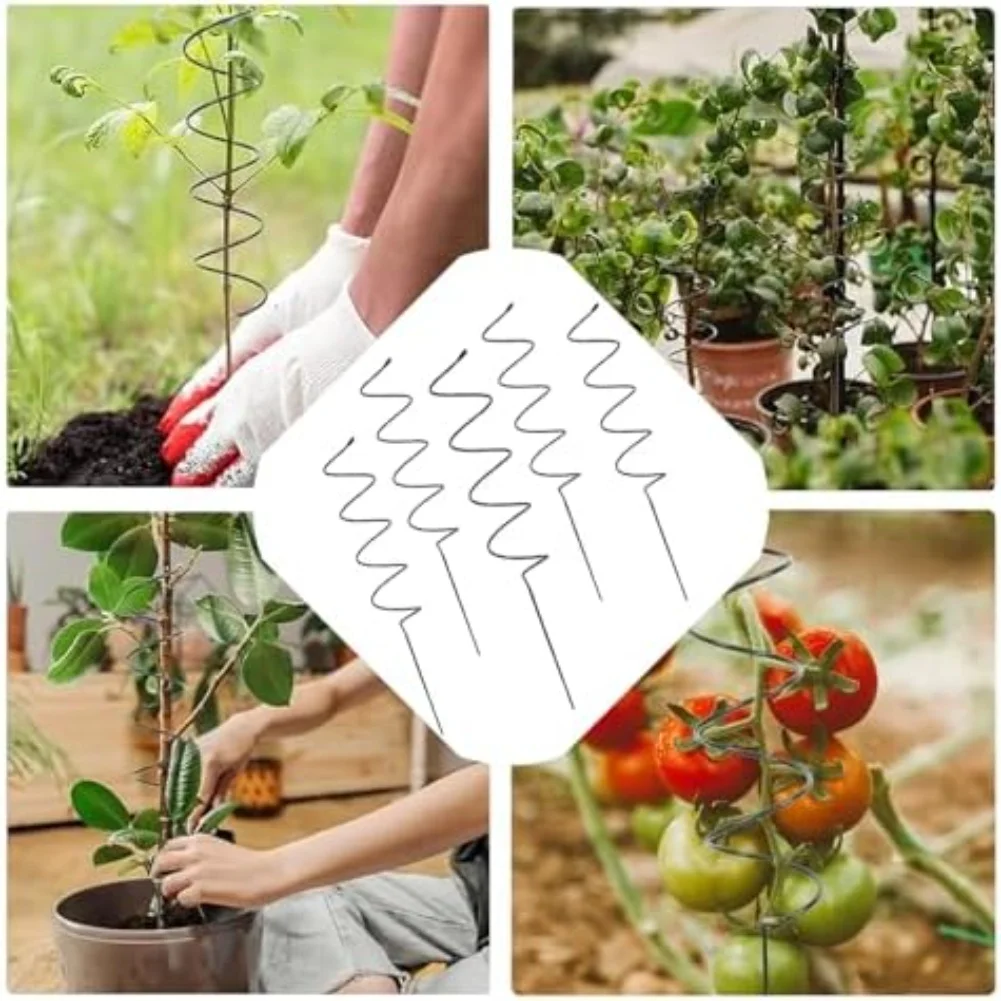 Climbing Plants Garden Stake Abundant Blooms Air Circulation Easy Installation Enhanced Stability Garden Setup For Tomato Plants