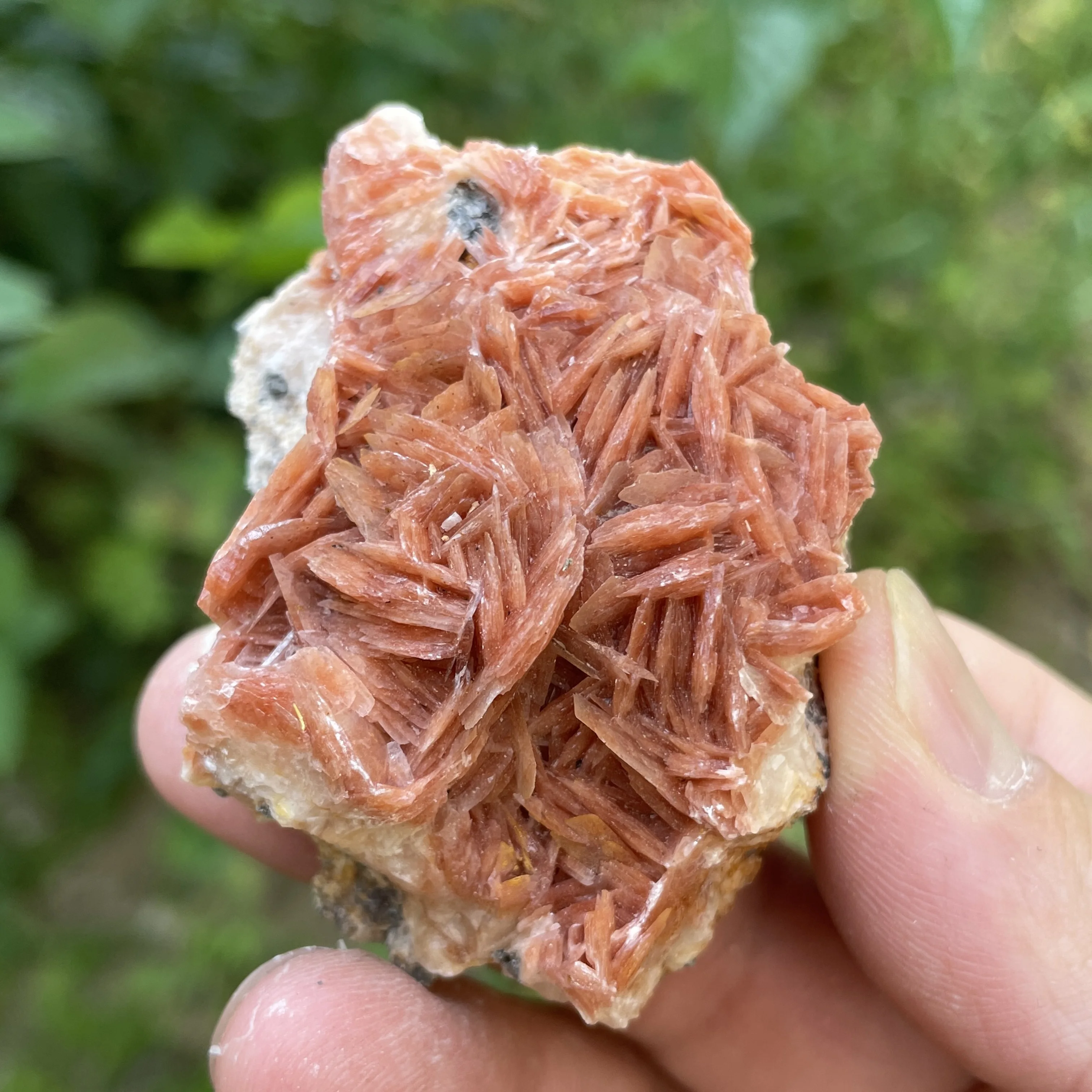 Natural Morocco Pin… - image