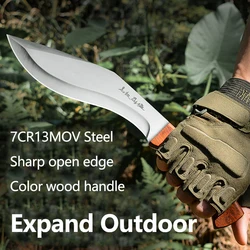 Outdoor Stainless Steel Straight Knife, Outdoor Portable Knife, Camping Straight Knife, Outdoor Small Scimitar, Fruit Knife