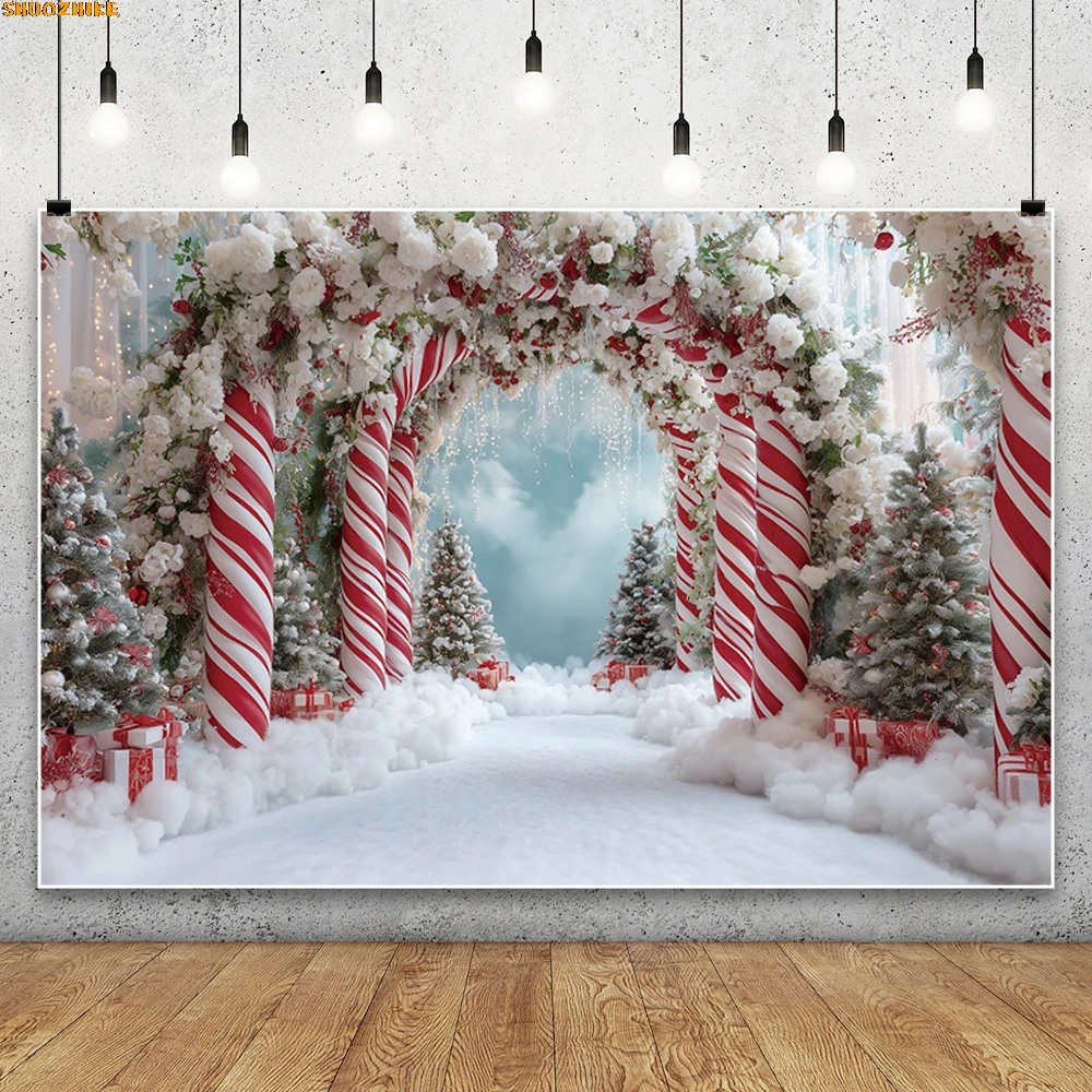

Christmas Day Wreath Family New Year Party Photography Backdrops Prop Window Living Room Xmas Tree Gift Snow Background OZ-02