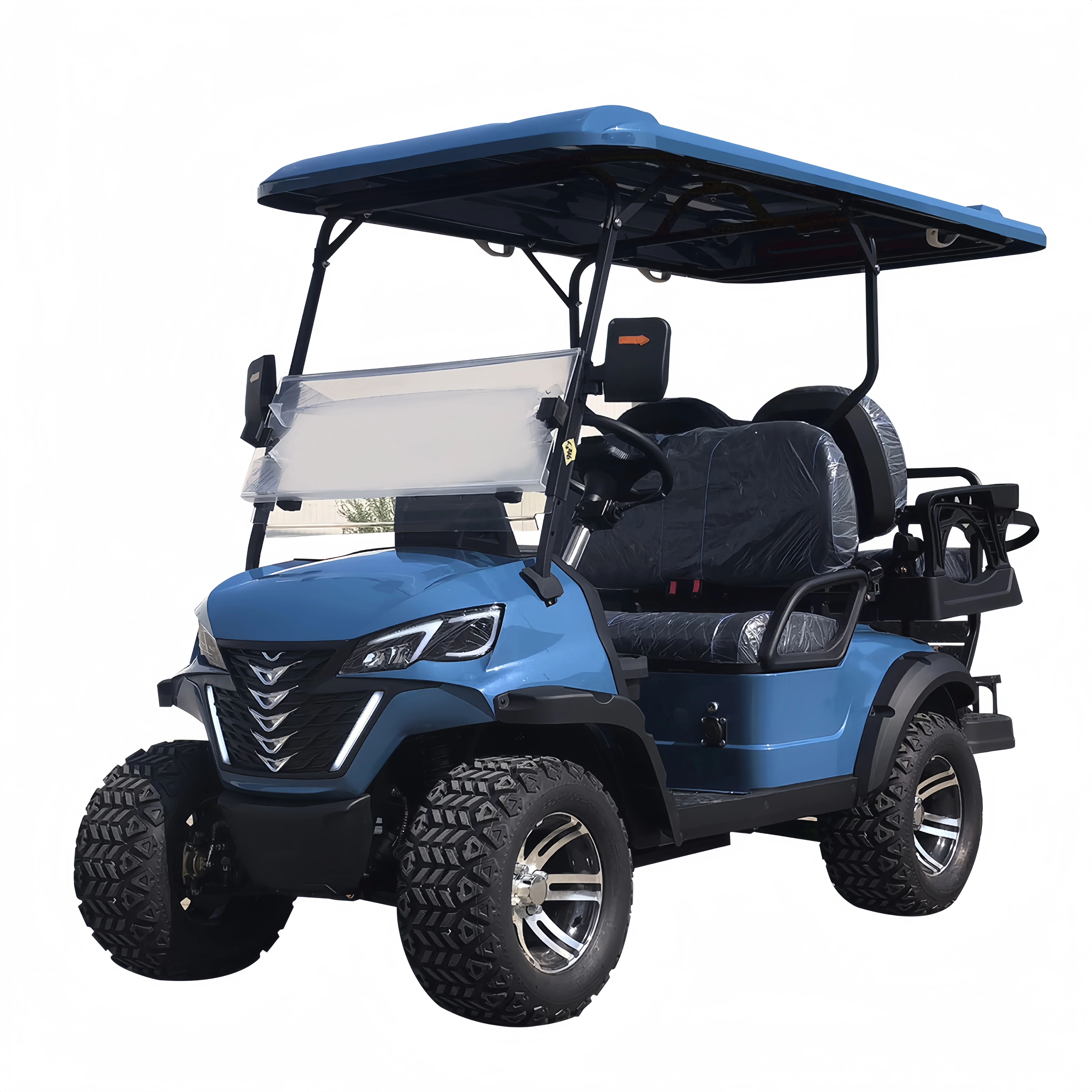 Factory Direct Sell Golf Buggy 2 Wheel Electric Mini Single Seat Electr Golf Cart Price