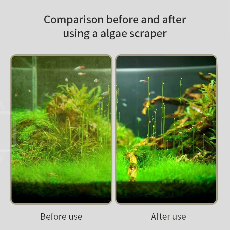 Fish Tank Brush Long Handle Brush Double-sided Cleaning Brush Aquarium Cleaning Tools image 4