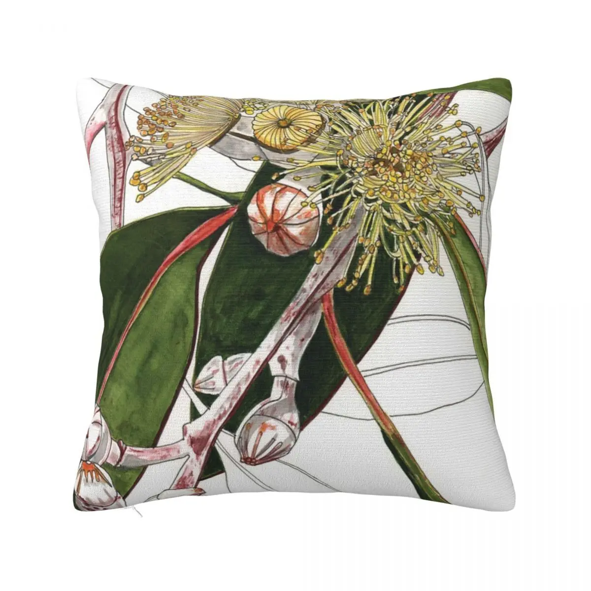 

Eucalyptus Mallee Australian Native Cushion Ornamental Pillows Cushions For Living Room Pillow Case Pillow Cover