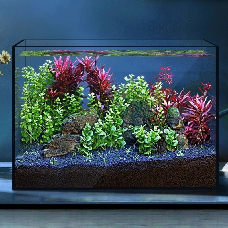 Ultra Clear Black-Edge Aquarium 2
