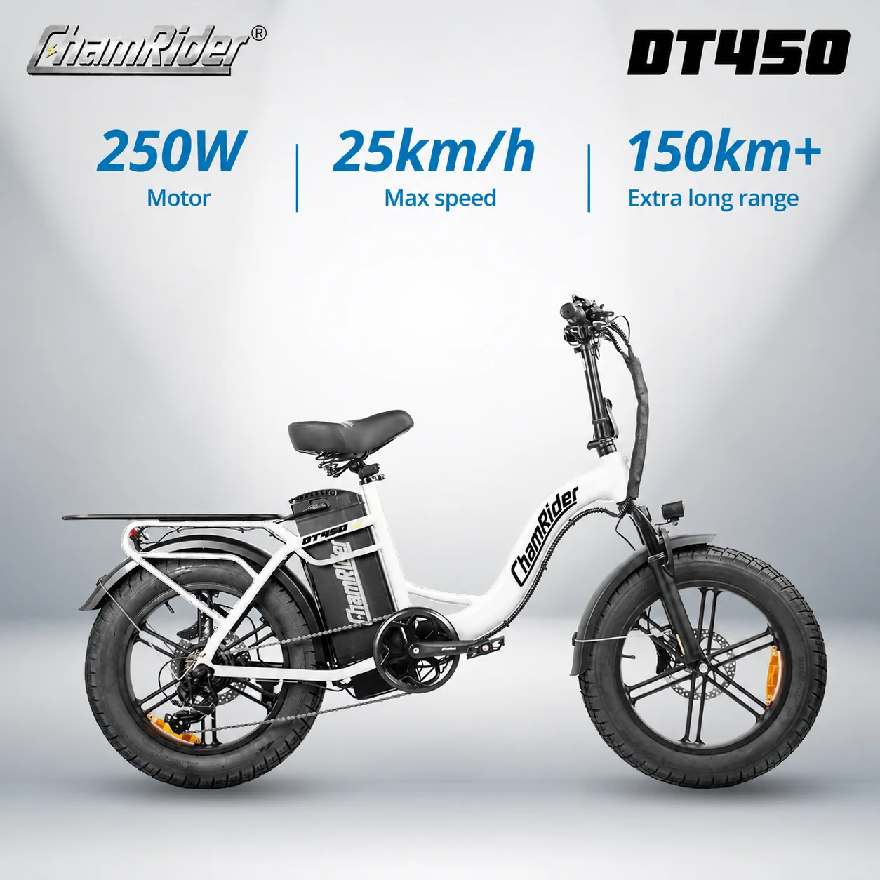 Chamrider DT450 48V50AH Bicicletta Elettrica Per Consegne Con Batteria Ai Polimeri E Sistema A 7 Velocità-image
