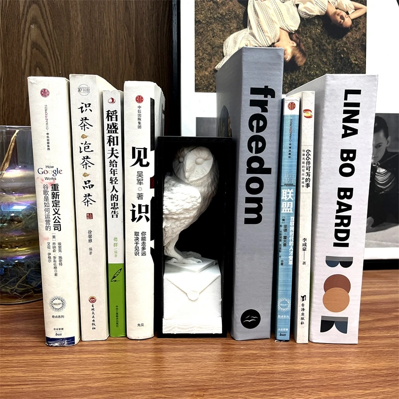 Gothic Skull Bookends Resin Skeleton Book Holder Creative Owl Desk Organizer For Study Shelf Halloween Decor Gift Dark Academia