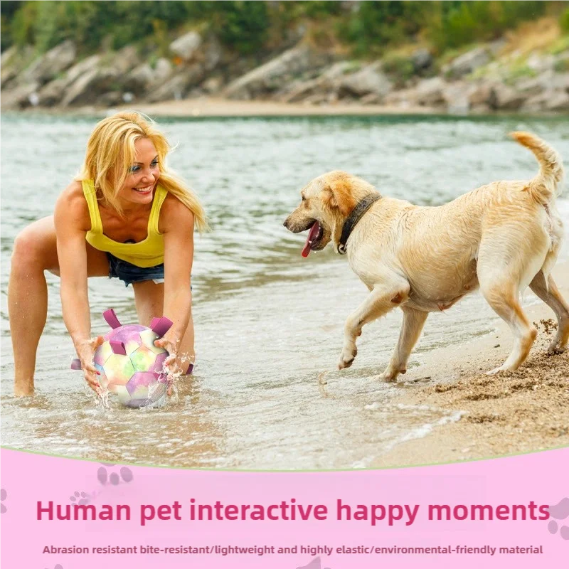 

Dog toys dog accessories Colorful football outdoor puppy toy ball with high aesthetic value