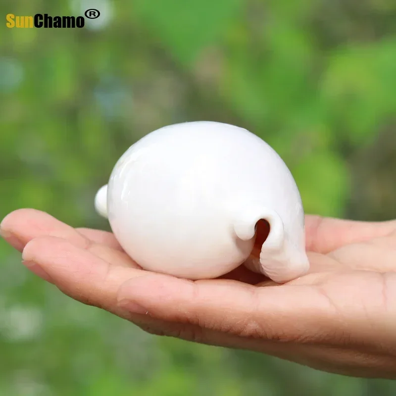 12 pz/lotto coniglio bianco conchiglia conchiglie naturali acquario decorazione della casa pavimento di nozze pasta da parete micro-paesaggio