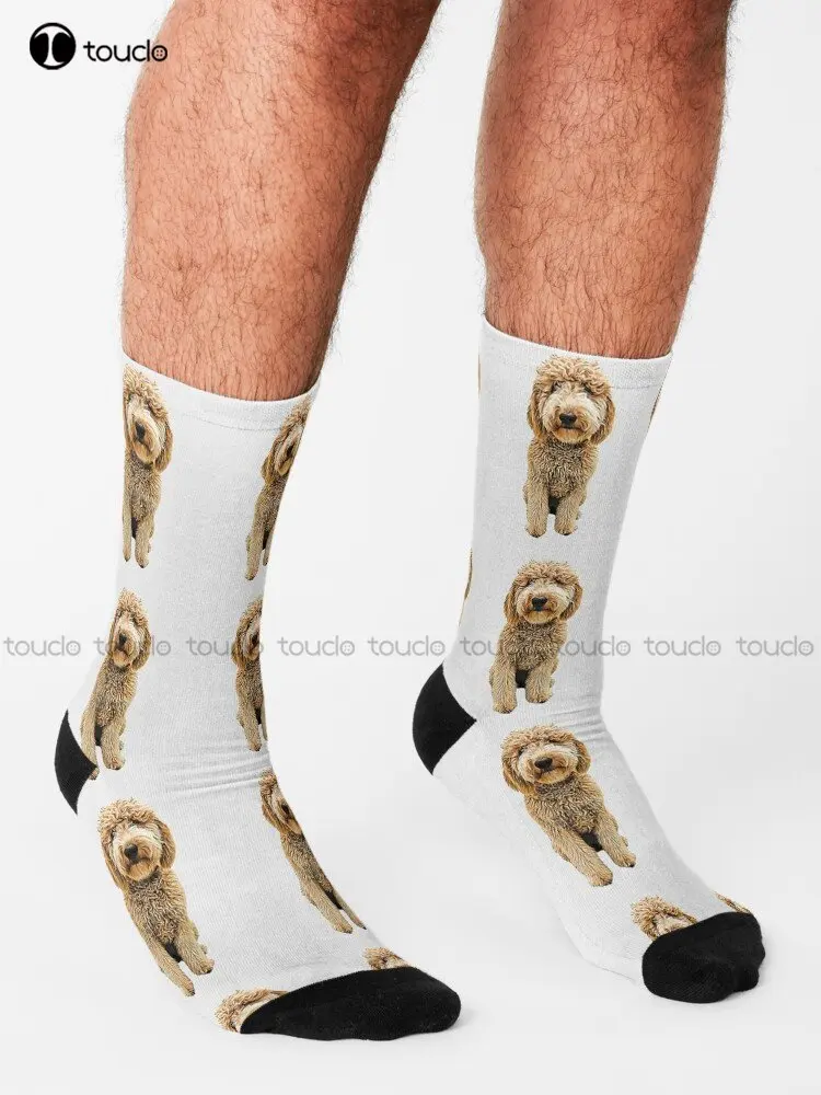 Labradoodle Golden Doodle Dog Dogs Puppy Puppies Socks Hiking Socks Men 360° Digital Print Custom Gift Streetwear Funny Sock Art