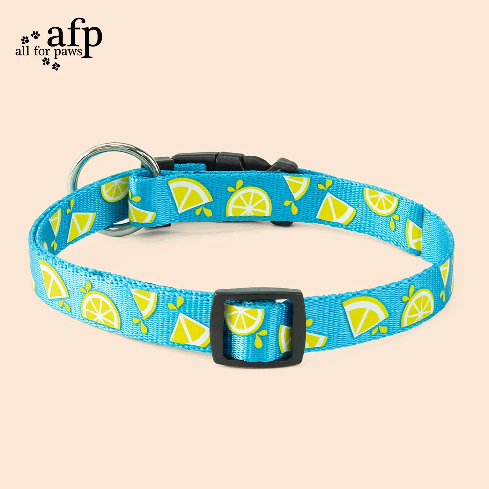 All For Paws Dog Blue Lemon Collar Pet Accessories Outdoor Strong Reliable Collars Retractable Large Dogs Accessories