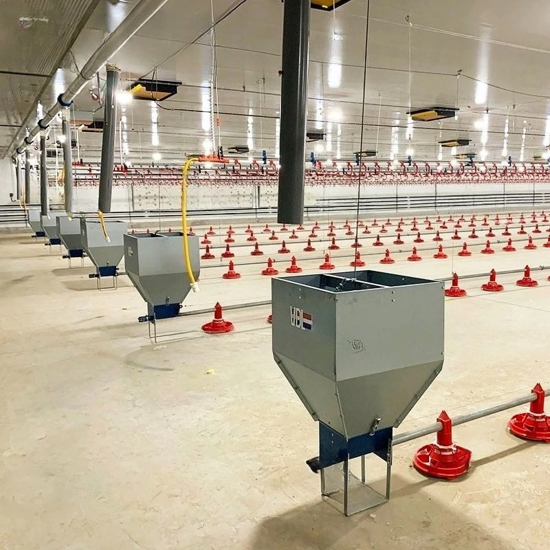 

Оборудование для кормления птицы в птичнике, оборудование для фермерских хозяйств, автоматическая система подачи корма для бройлеров.