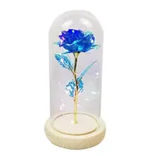 Valentines Day Gift Decorative Led Night Light Flower Eternal Preserved Rose In Glass Dome Mushrooms decoration Minature items