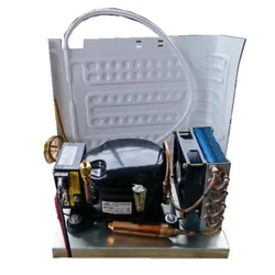 Mini Condensing Unit compressor is suitable for refrigerators and freezers Micro Refrigeration Unit BD25H 12/24V R134a