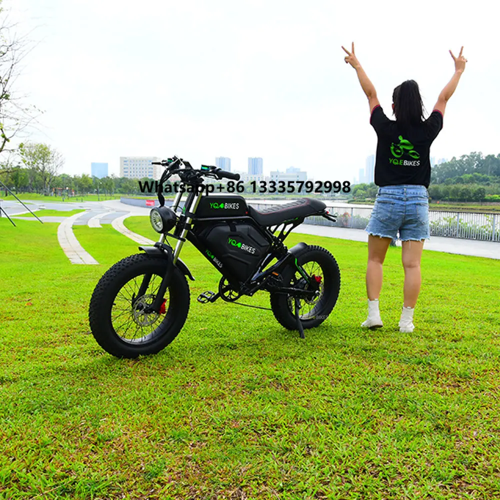 

YQEBIKES High-end 20*4.0 Race Electric Bicycle Electric Dirt Bike Adult Off-Road Motorcycles