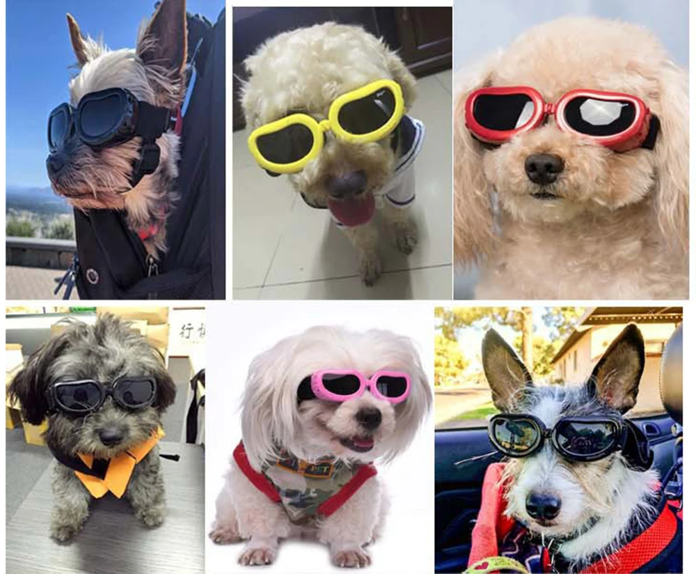 Retro Pilotenbrille für kleine Hunde, Fahrradbrille für Haustiere, Yorkshire Pinscher Sonnenbrille, Fotografie-Zubehör für Haustiere – Detail 3