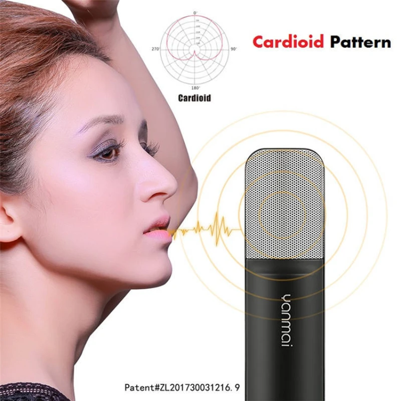 Q8 Professional Ultra High Sensitive Studio Recording Condenser Cardioid 3.5 Mm XLR Microphone with Shock Mount Hot Sale New