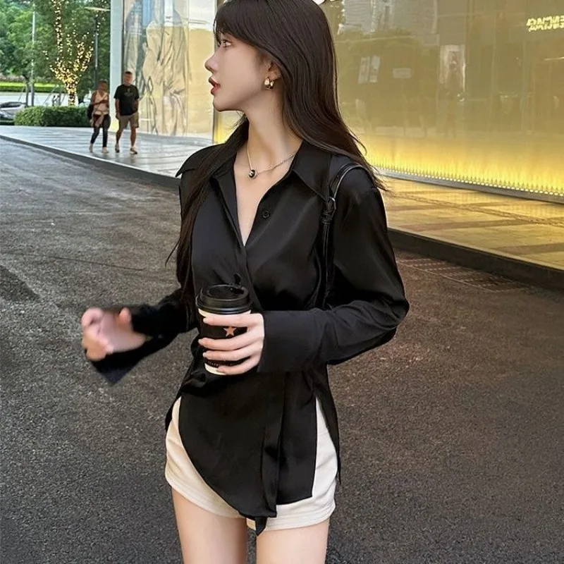 Temperament Hoogwaardig professioneel mode-topshirt met POLO-kraag en lange mouwen