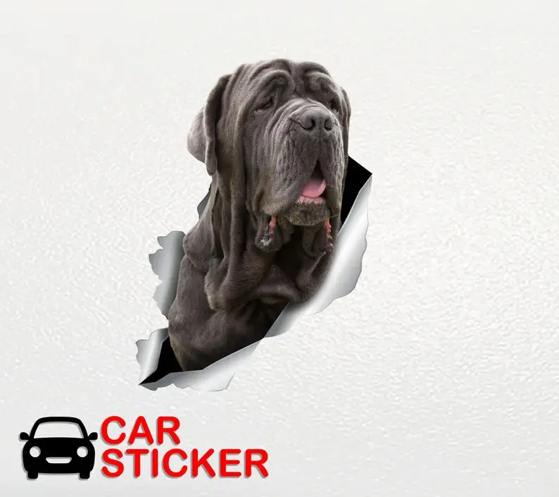 Mastiff car decal Car sticker Neapolitan Mastiff stickers Dogs sticker Auto stickers Mastiff sticker Mastiff decals Mastiff car