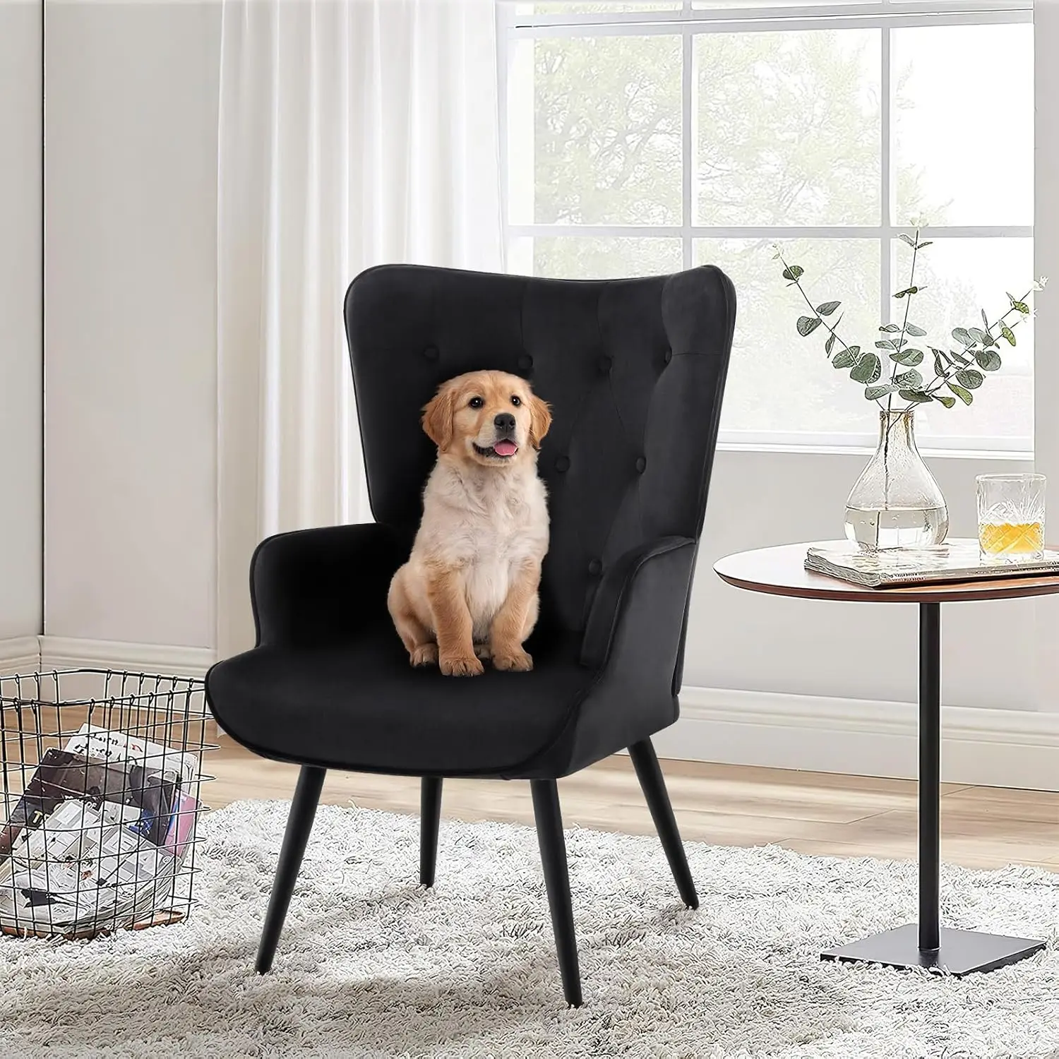 Juego de 2 sillas decorativas de terciopelo negro, silla de lectura, sillón con respaldo alto, dormitorio, sala de estar