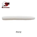 PA12