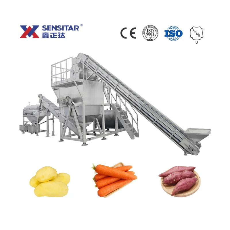 2Tons/H Horizontal High Pressure Fruit & Vegetable Peeling Machine Industrial Potato Peelers
