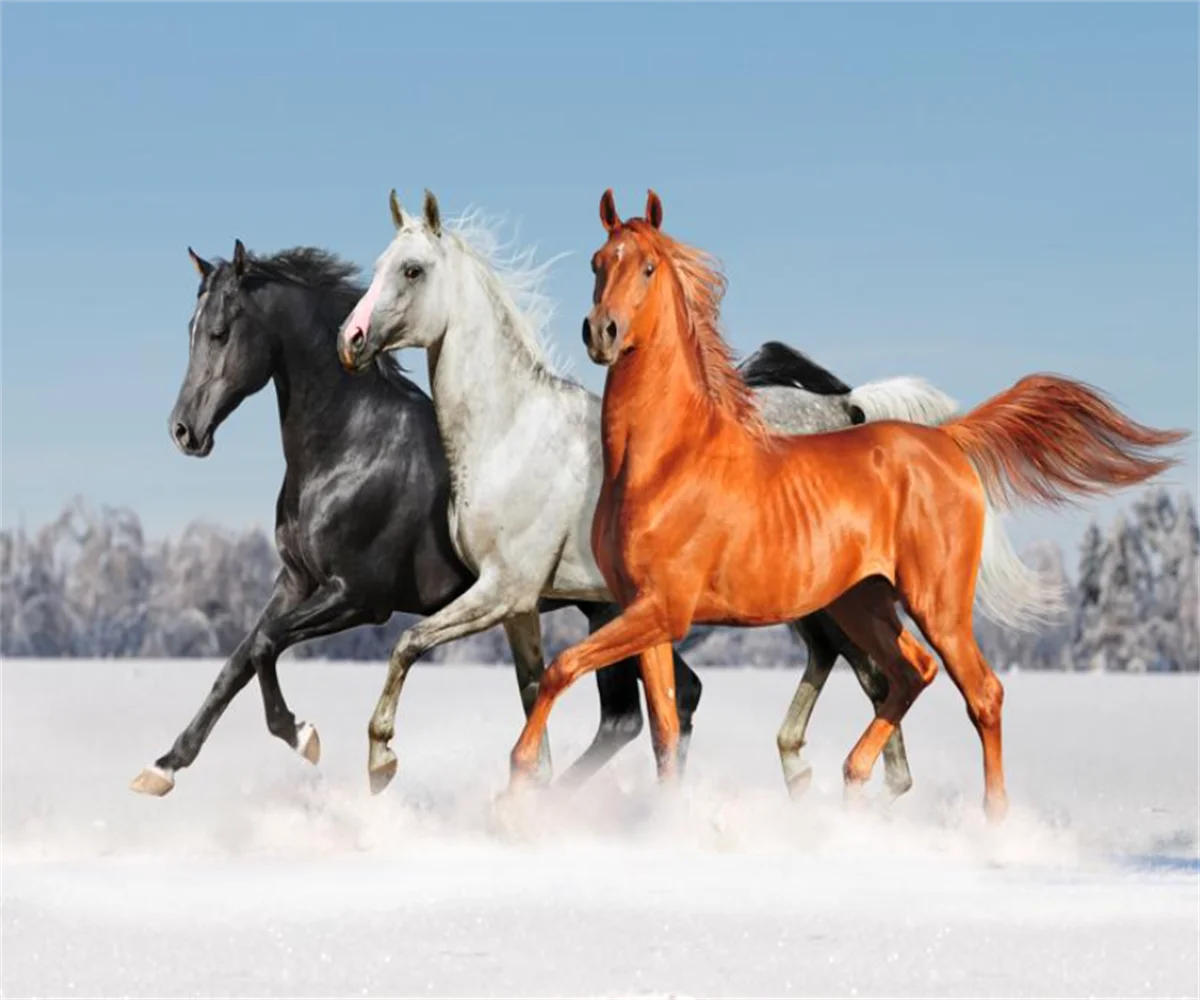 Customized size 3d wallpaper, three-dimensional snow horse mural, home decoration, animal galloping horse decoration painting