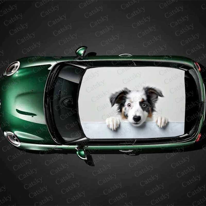 

Funny Dog Pets Car Roof Sticker Wrap Racing SUV Accessories Packaging Painted PVC Custom Car Graphic Decal