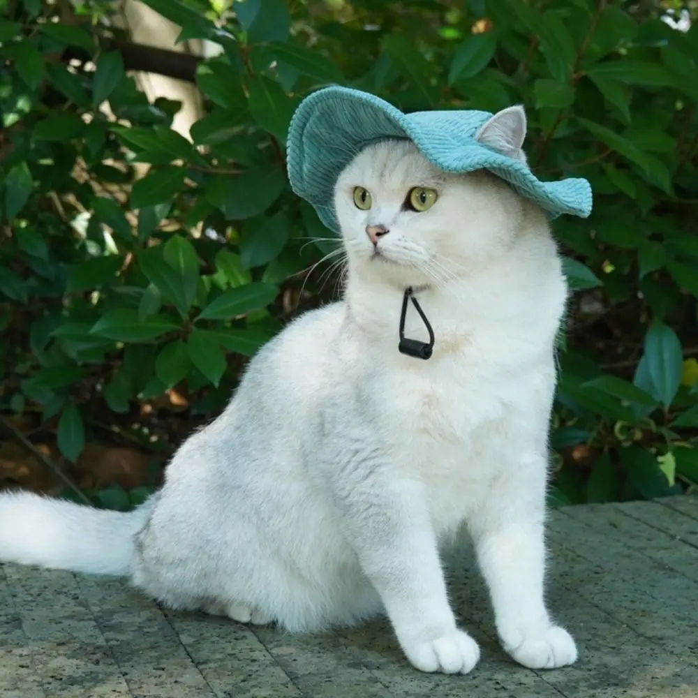 조절 가능한 통기성 개 고양이 모자 이미지