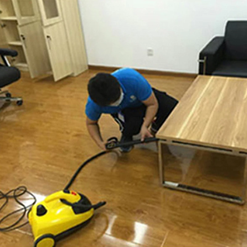 منظف البخار ذو درجة الحرارة العالية يزيل دخان الفورمالديهايد وبخار السيارة ورقائق البخار للتنظيف الداخلي وتطهير آلة الساونا