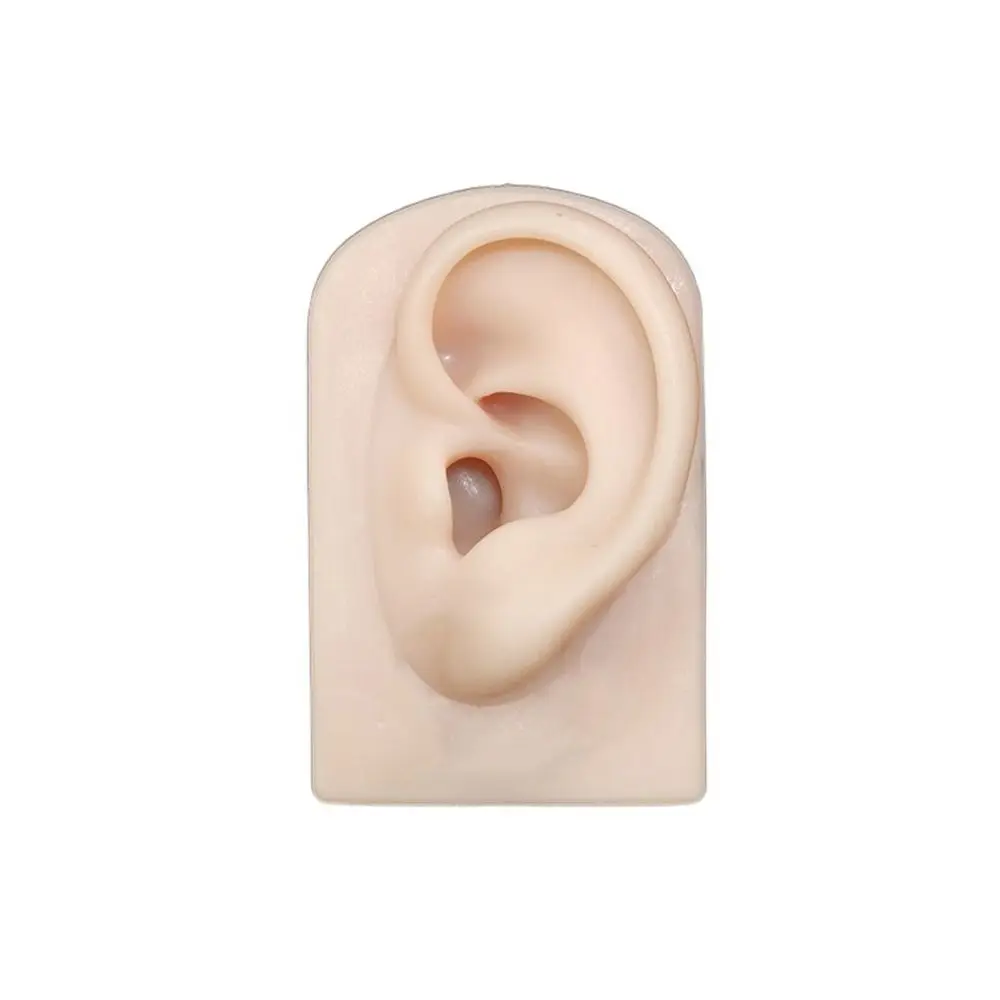 

for Hearing Teaching Display Props Body Tattoo Practice Silicone Ear Model Fake Ear Simulation Ear Jewelry Earrings Display