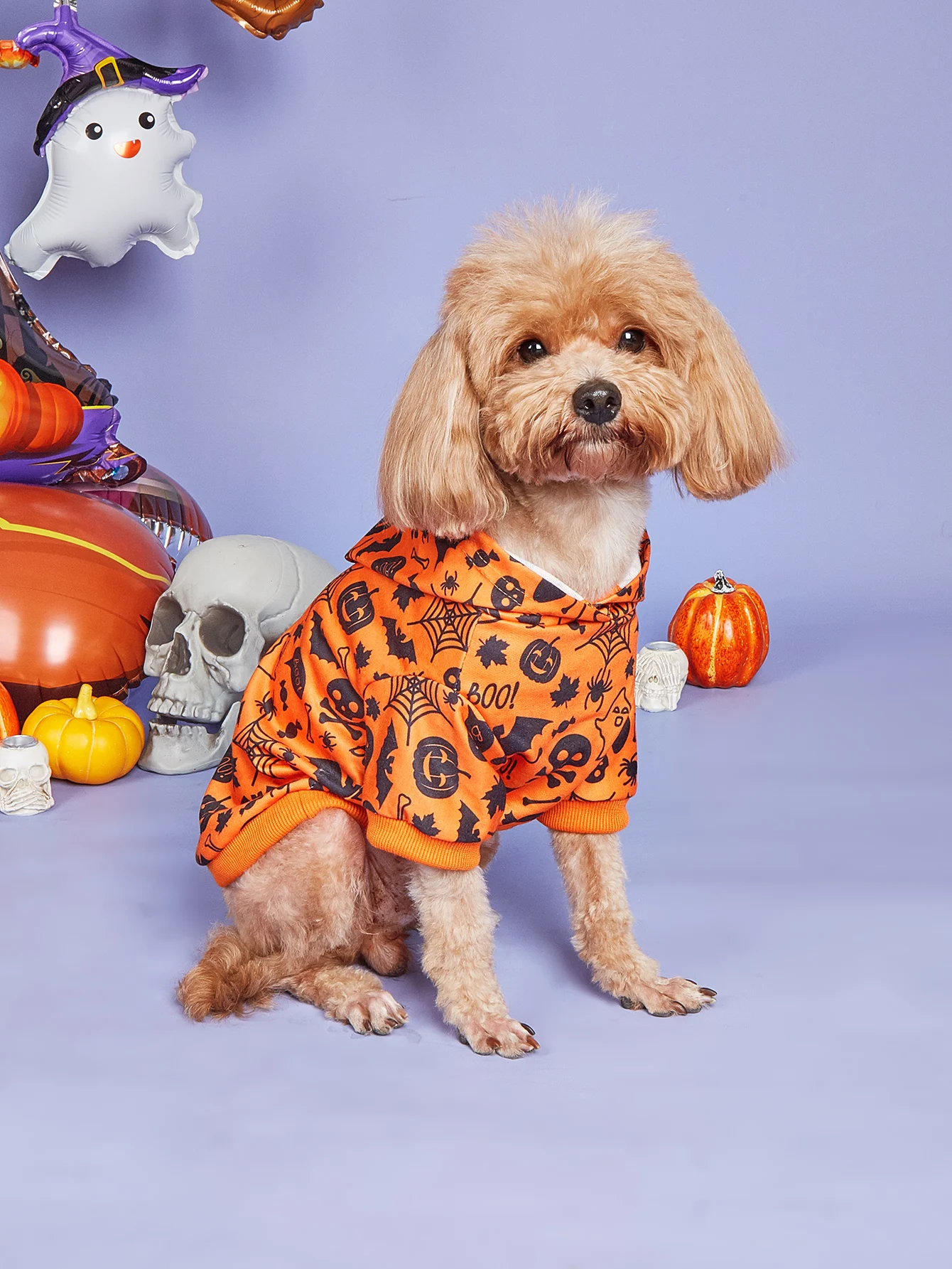 Hund Halloween Kostüm, Urlaub Hund Kleidung für kleine Hunde, lustige Haustier Kürbis Spinne Hoodie, Katze Knochen Outfit