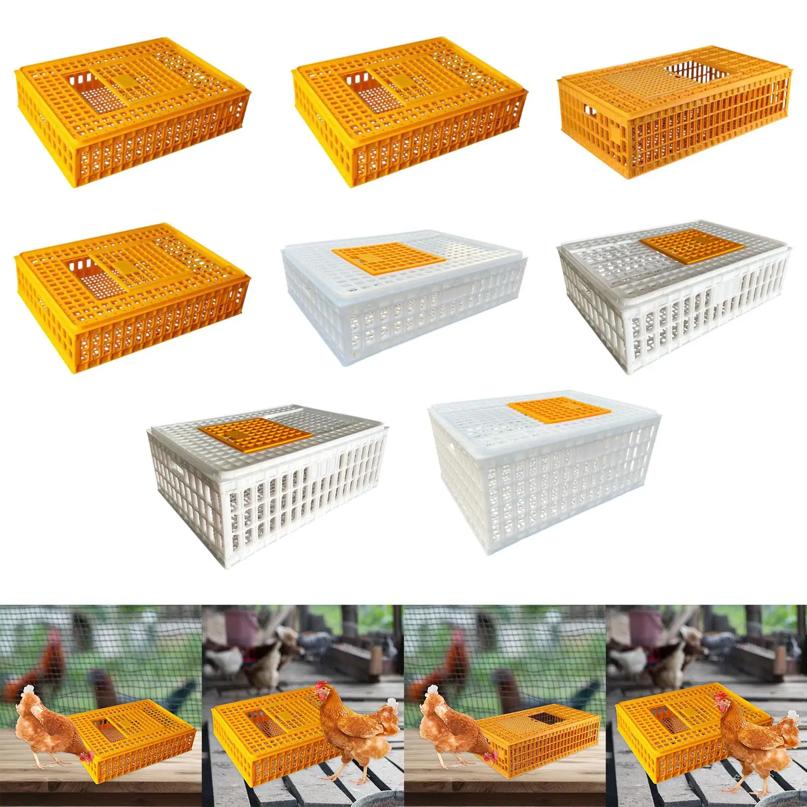

Poultry Carrier Crate Chicken Crate Transport Box for Hideaway Rutin Chicken