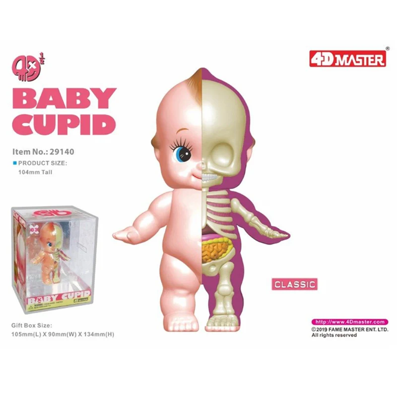 10CM 4D Master Half Baby Cupid Anatomy Model Funny Skeleton  Anatomical Cartoon Figurine Model Halloween Decoration Gifts