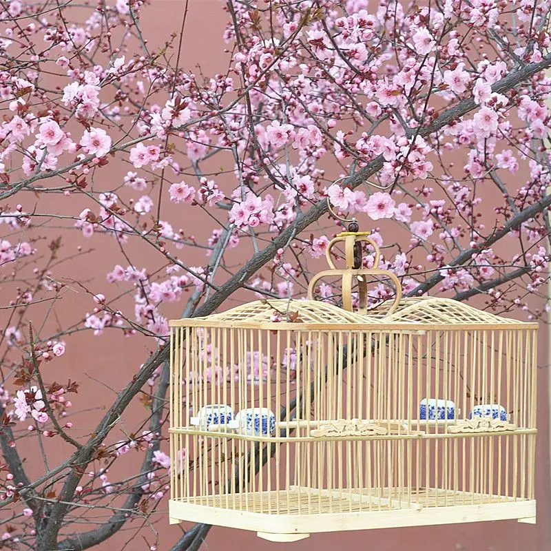 Aviary Bird Cage House Small Shelter Breeding Bird Cages Lovebird Pigeons Quail Feeder Protector Jaula Accesorios Habitat Decors