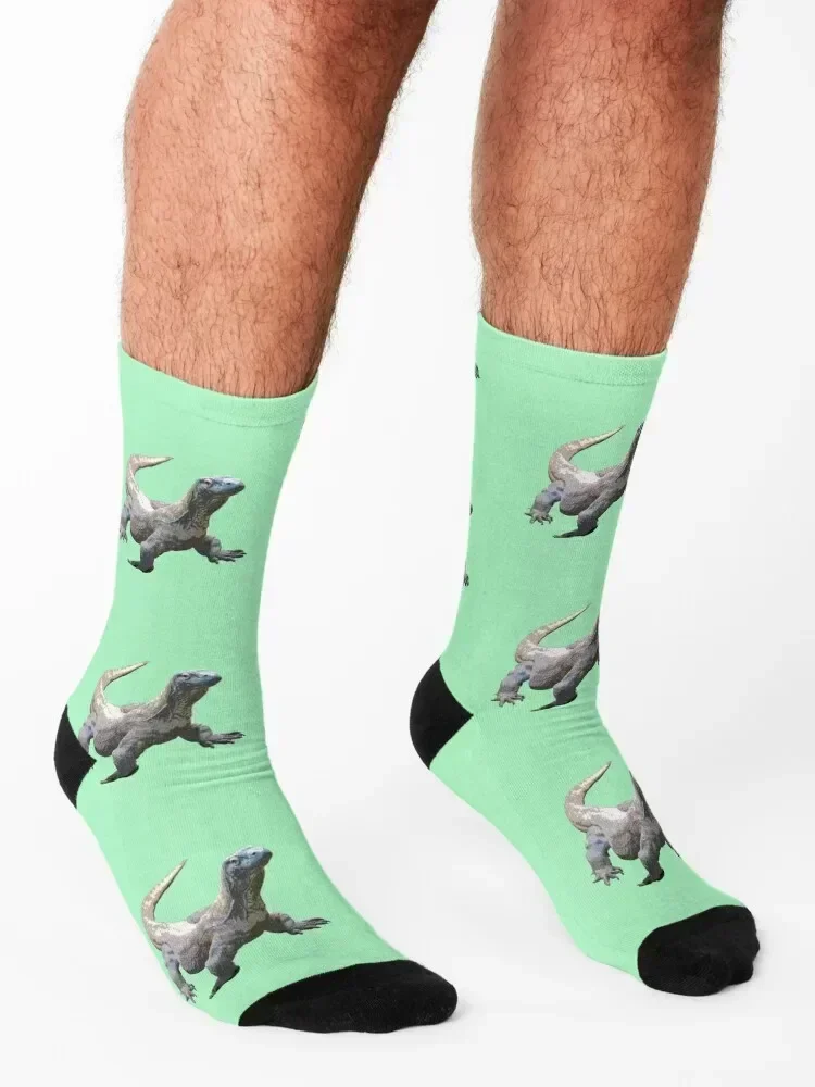 Komodo Dragon Color Print Socks winter gifts funny gifts loose funny gift Socks For Man Women's