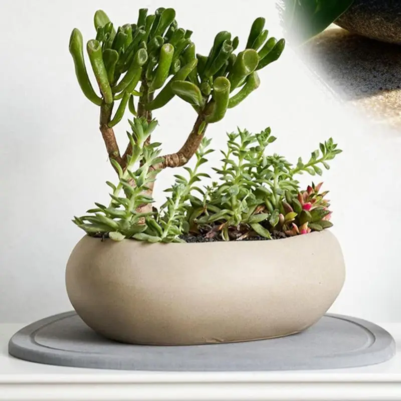 Plant Water Catcher Tray Instant Dry Natural Diatomaceous Earth Plant Saucers For Pot Anti-Slip Plant Drip Trays Multifunctional