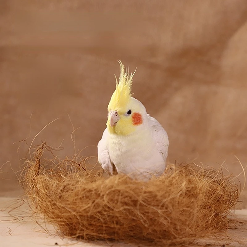 100/200g Coconut Fiber Nesting Material Nest / Fibre Aviary Birds Canaries Finches Nest Filled Grass Bird Cage Accessories